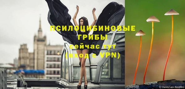 mdma Заводоуковск