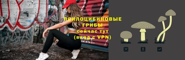 PSILOCYBIN Заволжск