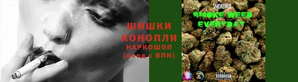 PSILOCYBIN Заволжск