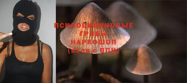 mdma Заводоуковск