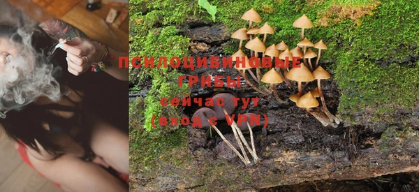 mdma Заводоуковск