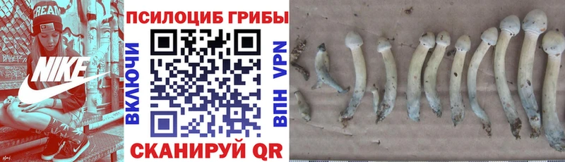 Псилоцибиновые грибы ЛСД  Купить  Мичуринск 